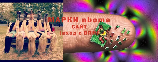 шишки Богородицк